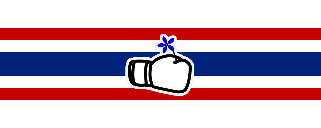 Erfahrungsbericht: Honour Muay Thai Gym in Thailand