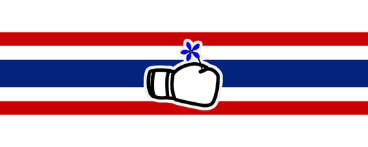Erfahrungsbericht: Honour Muay Thai Gym in Thailand